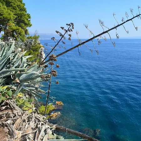 Appartamento Marianum